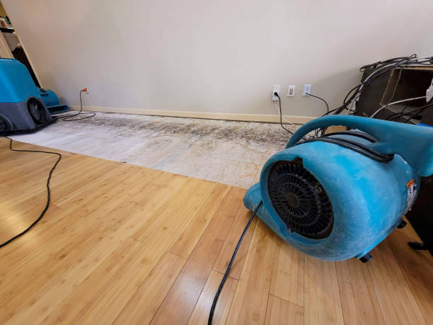 Professional Structural Drying technician working in Mount Airy, GA